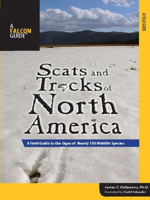 cover image of Scats and Tracks of North America